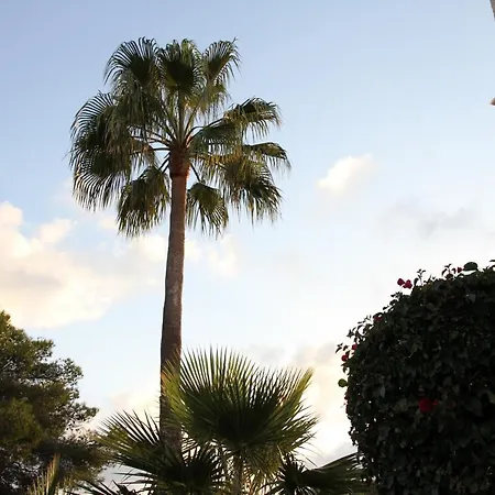 La Baliza Jávea